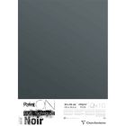 Clairefontaine Paint'ON Feuilles noires 50x65cm
