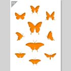 QBIX Pochoir papillon - format A3