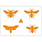 Modèle d'insecte en 3 tailles