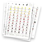 Daniel Smith Cartes de test d'aquarelle - 266 couleurs
