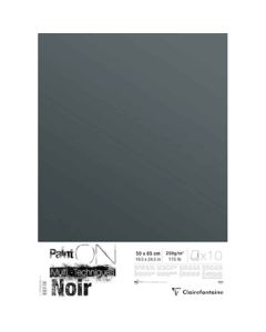 Clairefontaine Paint'ON Feuilles noires 50x65cm