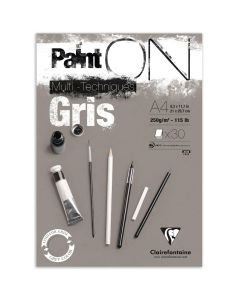 Clairefontaine Paint-ON Bloc A4 - Gris