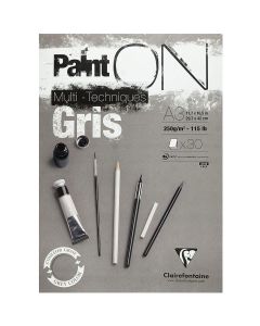 Clairefontaine Paint-ON Bloc A3 - Gris
