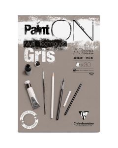 Clairefontaine Paint-ON Bloc A2 - Gris