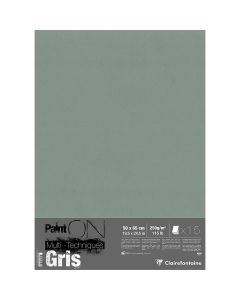 Clairefontaine Paint'ON Feuilles grises 50 x 65 cm